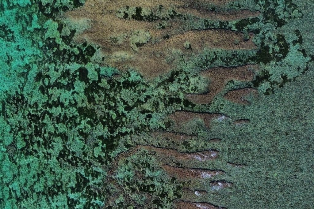 Aerial drone view of vibrant coral reef and turquoise sea