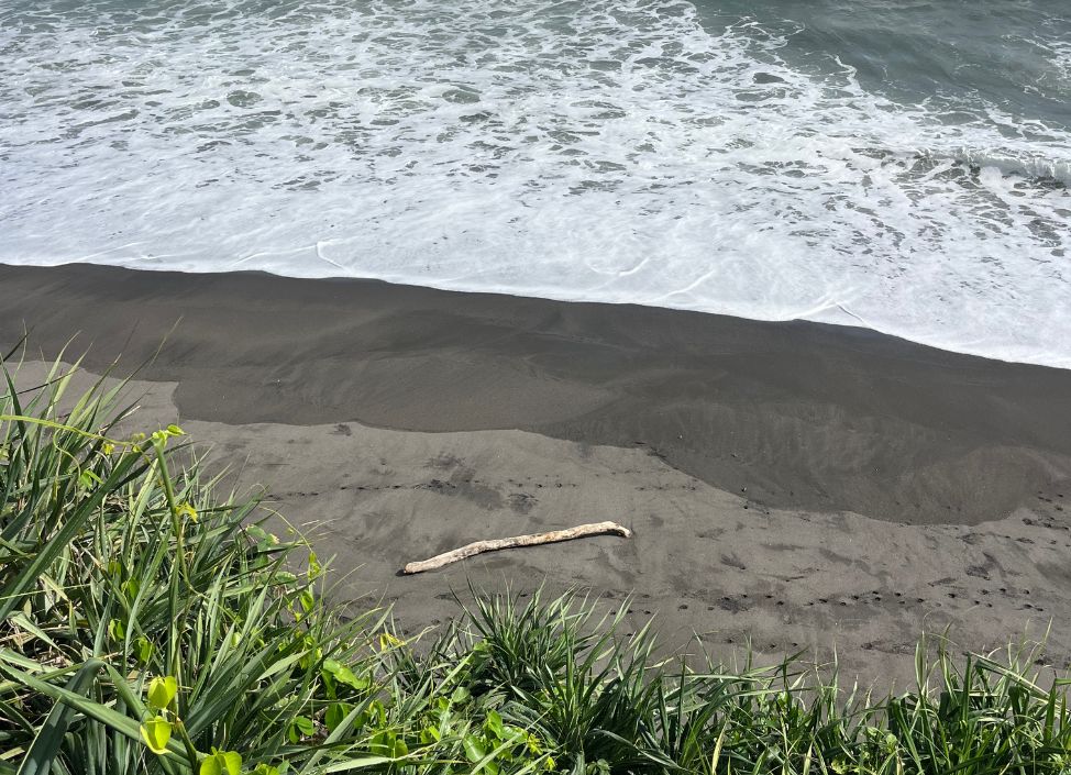 luna-beach-club-canggu-beach