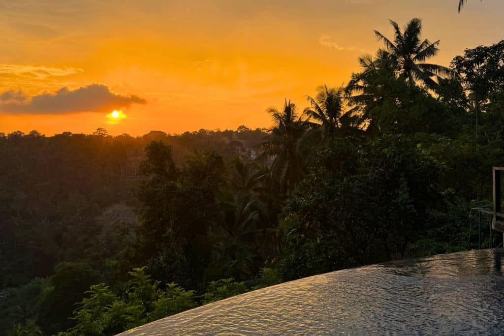 Golden sunset over the jungle valley in Ubud with soft light and palm trees