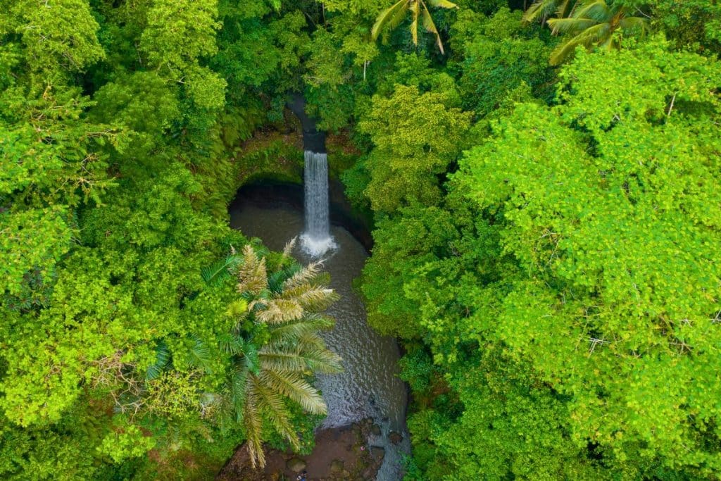 Tropical waterfall cascading over rocks surrounded by lush greenery near Ubud