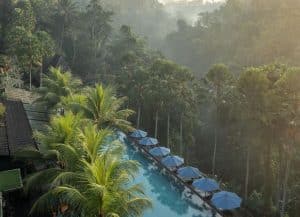 jungle-fish-pool-club-ubud-drone-view