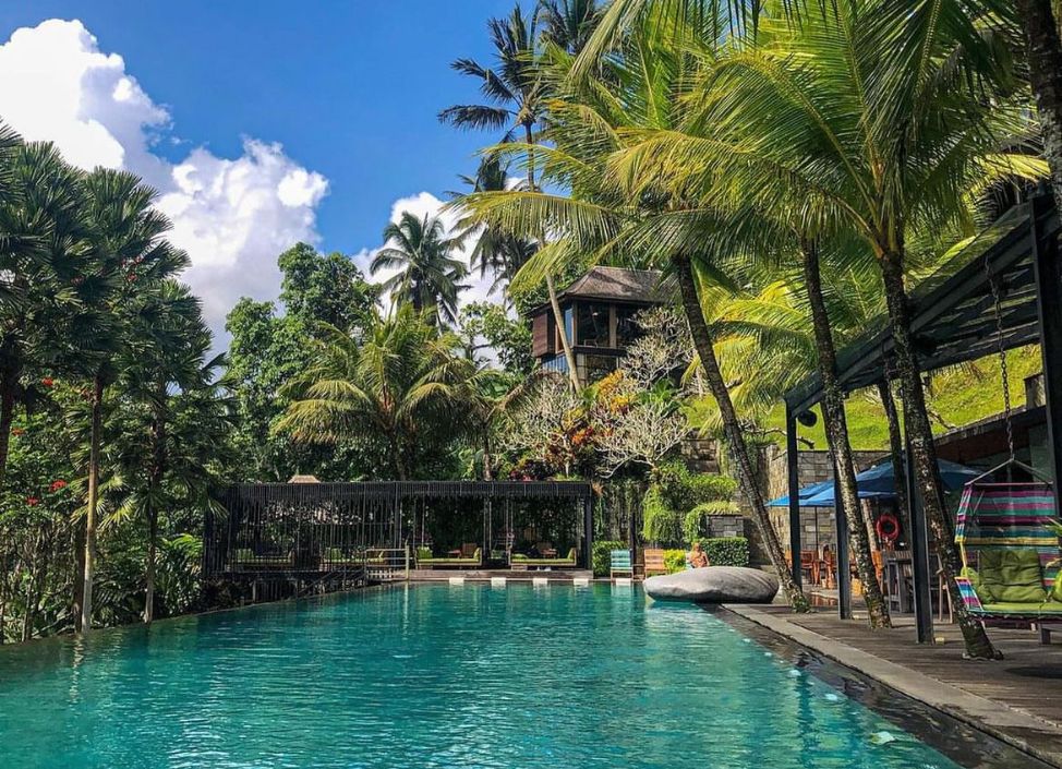jungle-fish-pool-club-ubud-pool