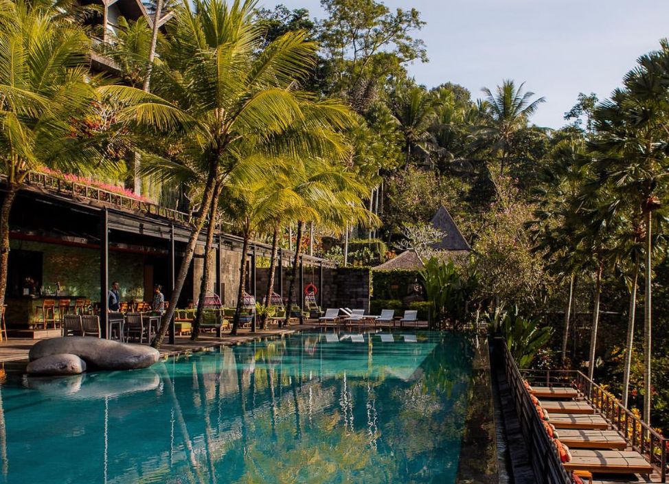 jungle-fish-pool-club-ubud-sunset