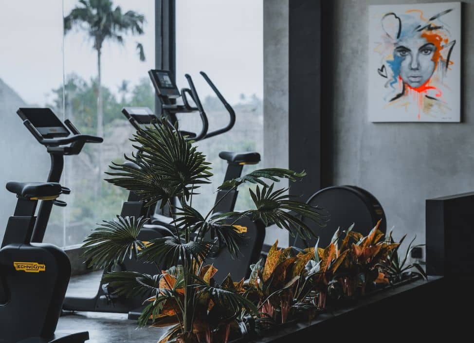 Interior view of a modern gym in Canggu, Bali with equipment and training space