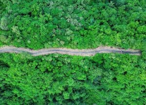 Aerial drone view of Ubud’s rice terraces and jungle walking paths in Bali