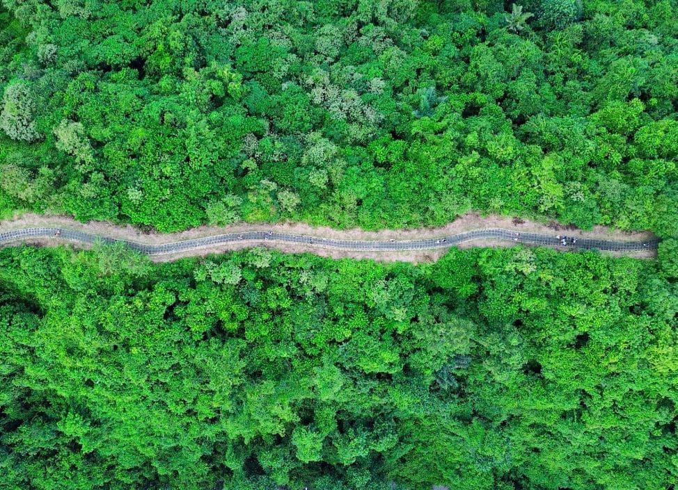 Aerial drone view of Ubud’s rice terraces and jungle walking paths in Bali