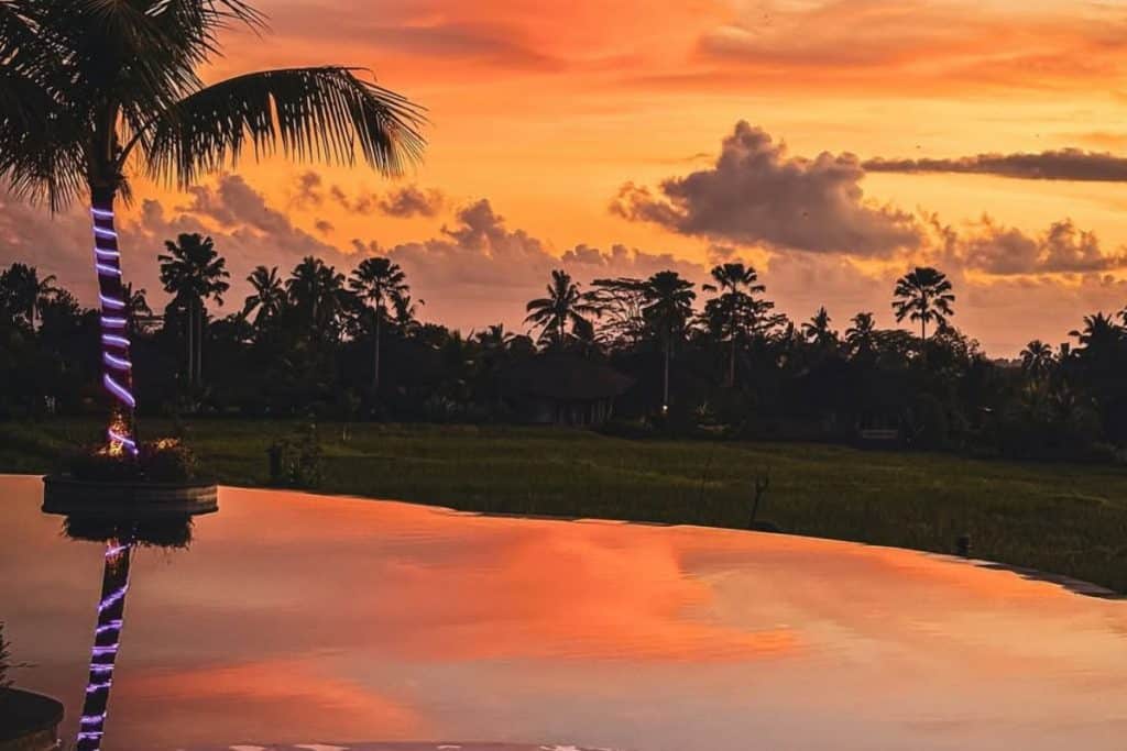 Infinity pool at Cretya Ubud during sunset overlooking the lush jungle valley