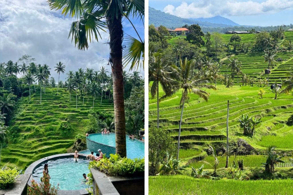 Wide shot of terraced rice fields in Sidemen, Bali, under soft morning light.