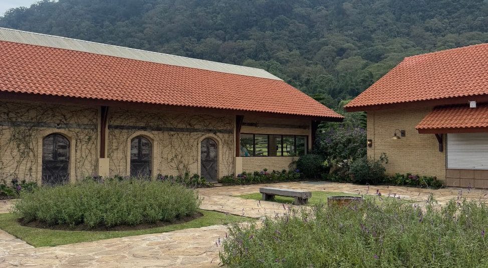 Scenic view of Bali Farm in Bedugul with lush greenery