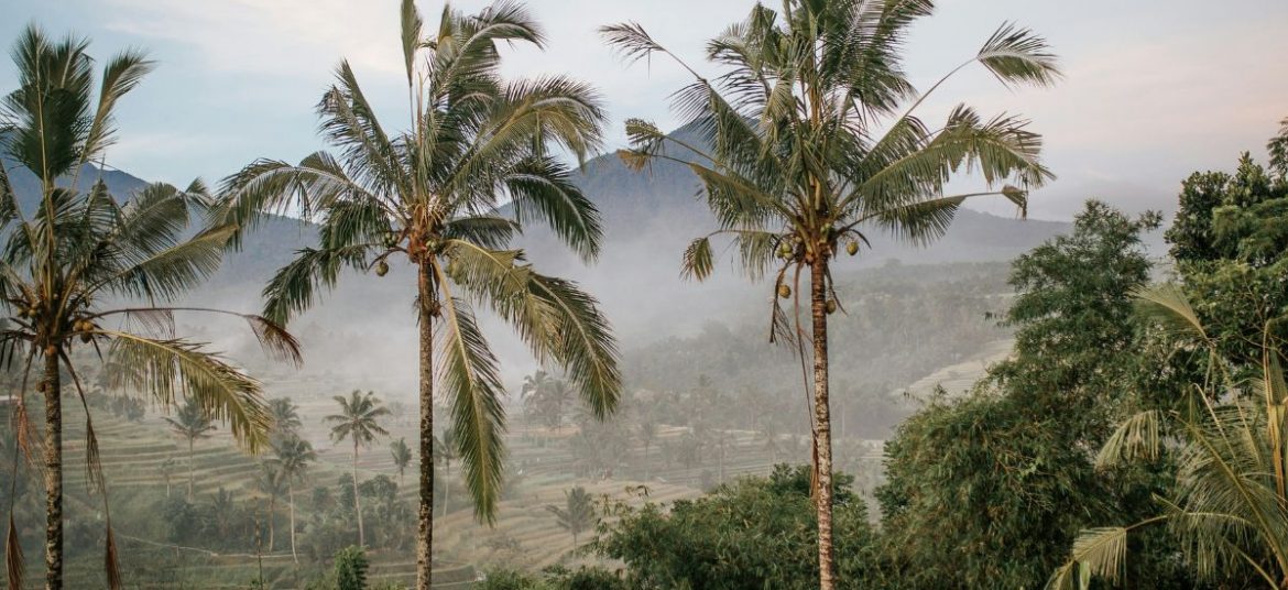 Aerial view of terraced rice fields in Sidemen, Bali, with morning mist and palm trees.