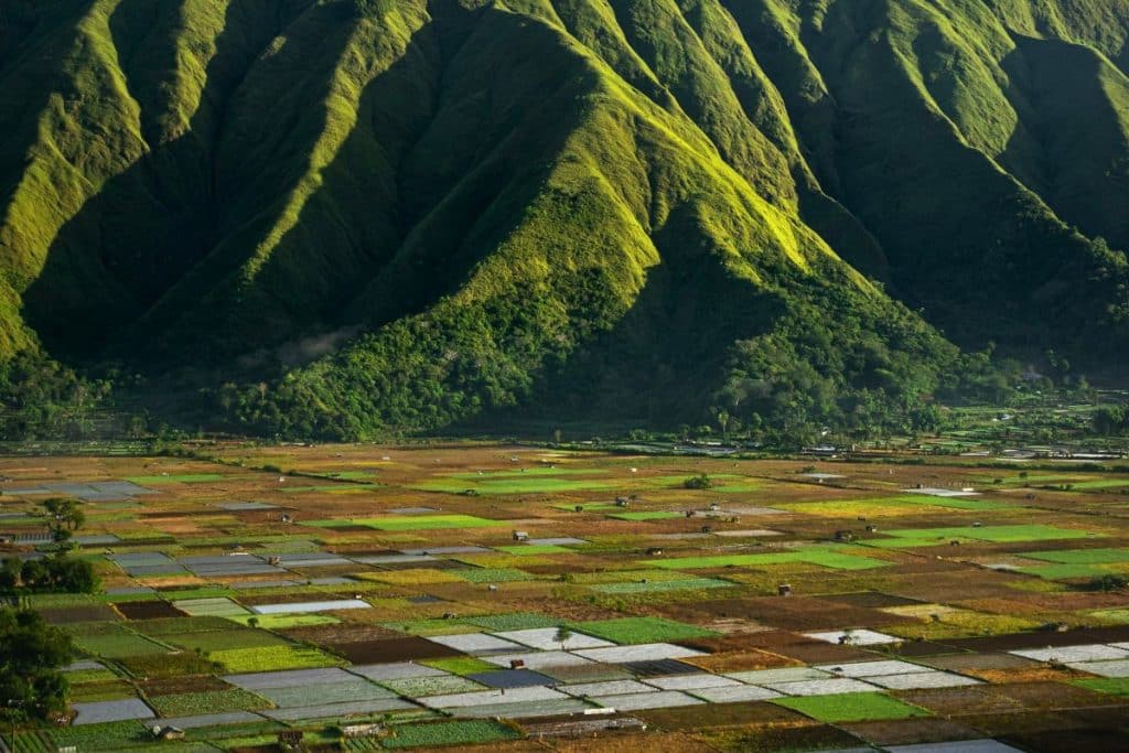 Aerial view from Bukit Selong, overlooking rice fields and surrounding hills in northern Lombok.