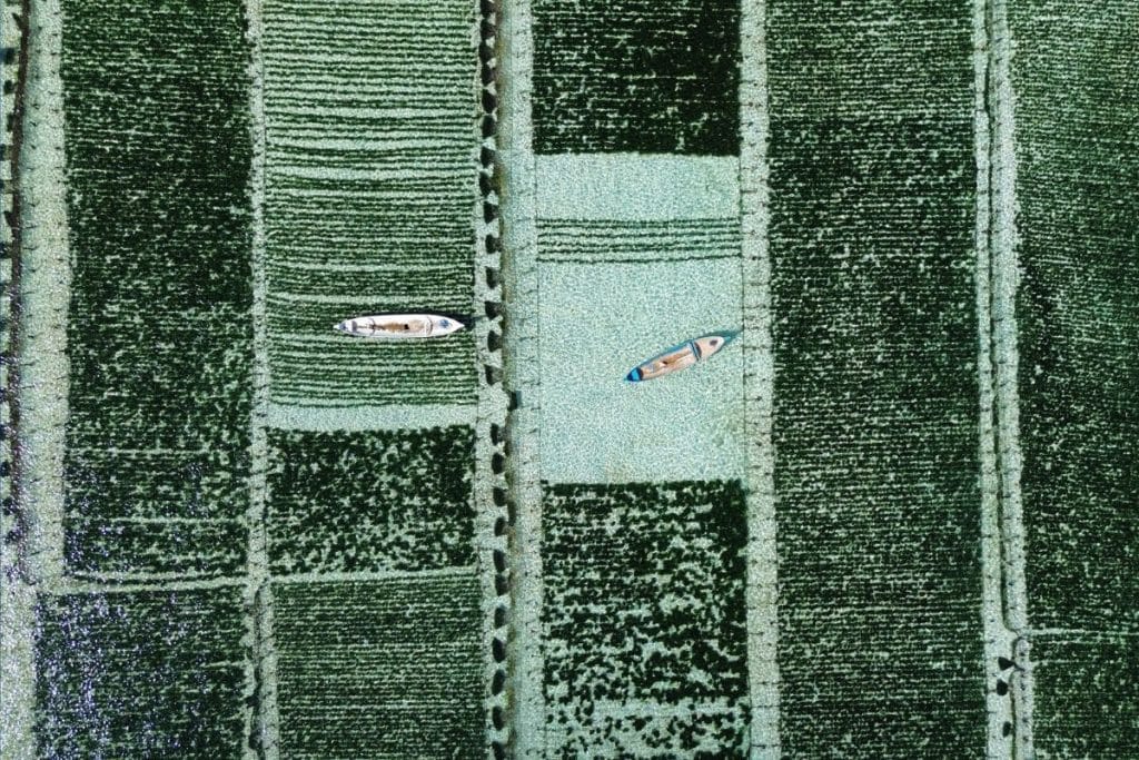 Seaweed drying along a narrow coastal road in Nusa Lembongan with ocean views