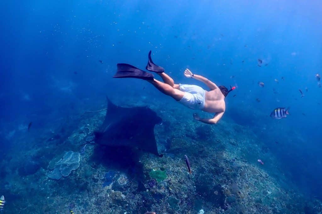 Snorkeler exploring coral reefs near Nusa Lembongan