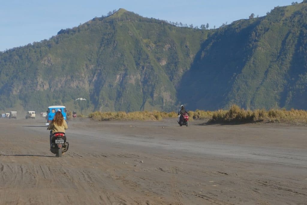 Riding a scooter on a scenic coastal road in Northern Bali with palm trees and ocean views