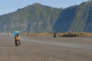 Riding a scooter on a scenic coastal road in Northern Bali with palm trees and ocean views