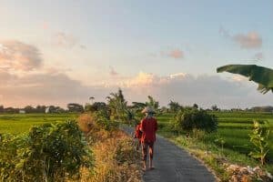 Woman walking away through the lush rice fields of Canggu