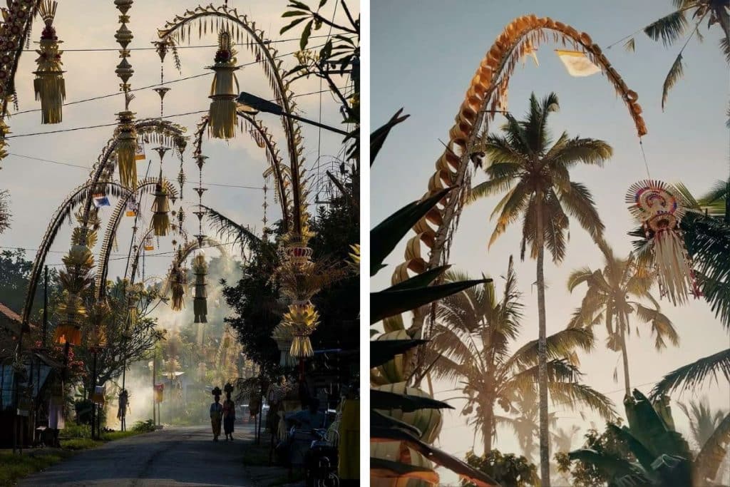 Palm trees with traditional Galungan penjor decorations in Bali.