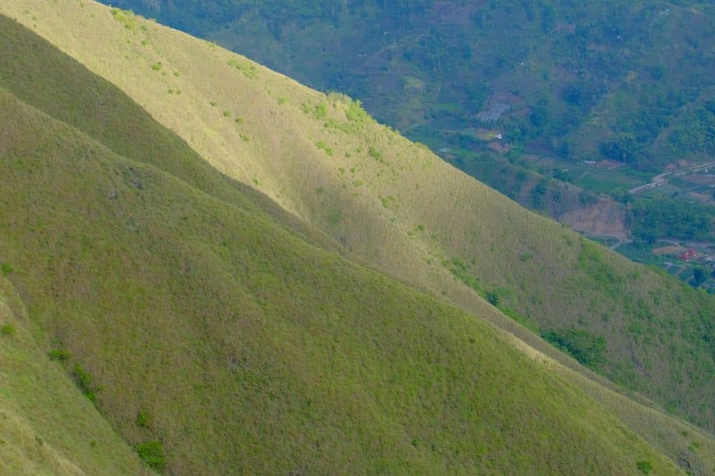 Lush green landscape and rice fields surrounding Pergasingan Hill in Lombok