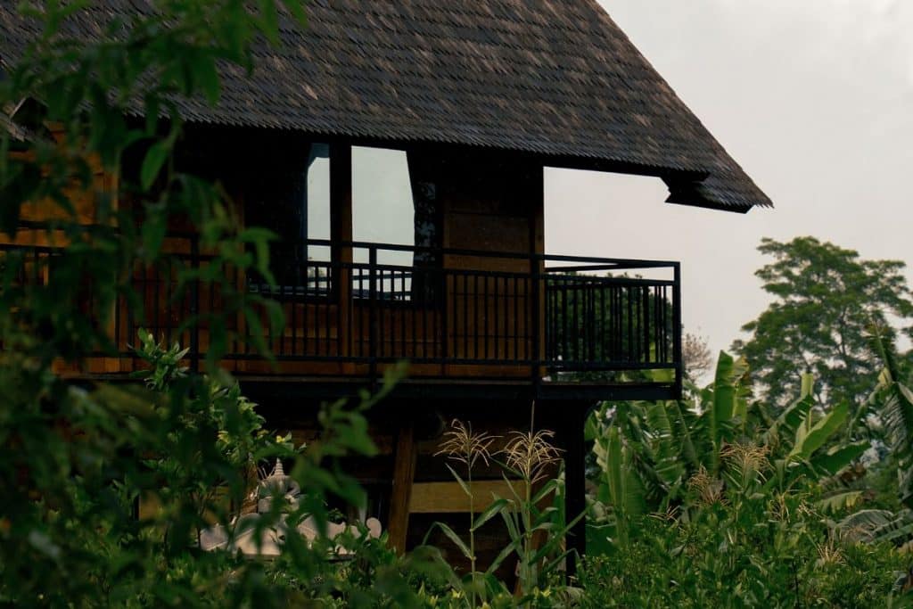 Small cabin surrounded by coffee plants at Arca Coffee plantation in Kintamani, Bali