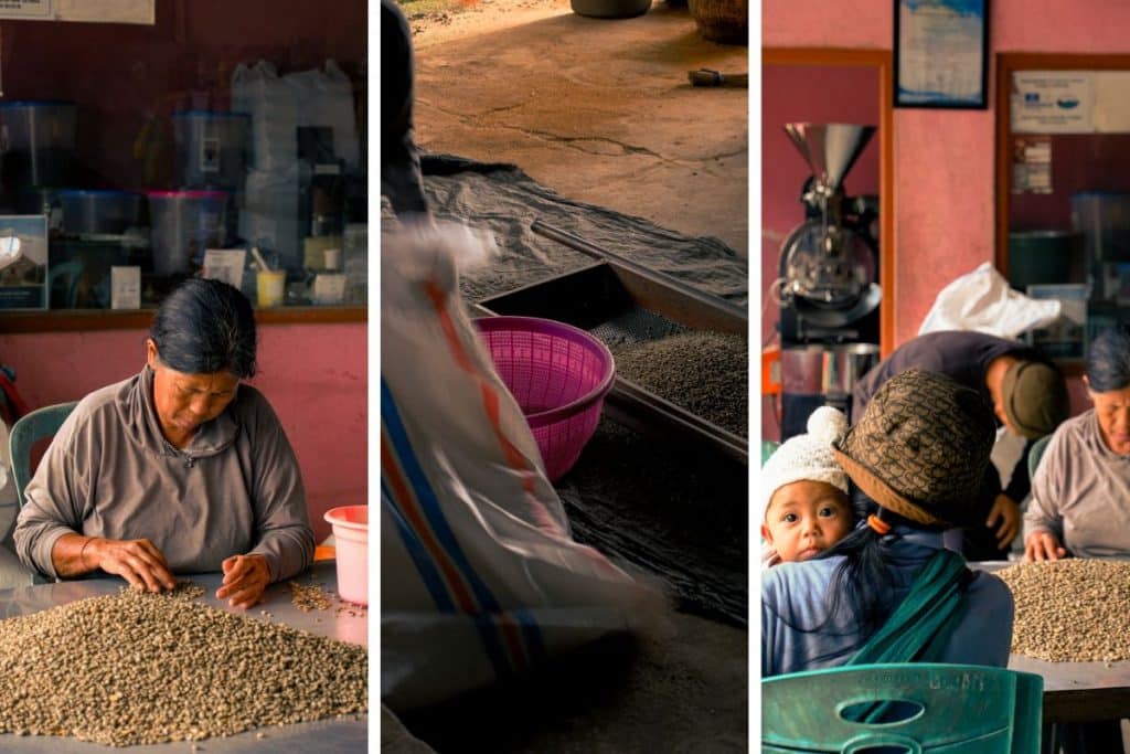 Coffee workers hand-sorting coffee beans at Arca Coffee plantation in Bali