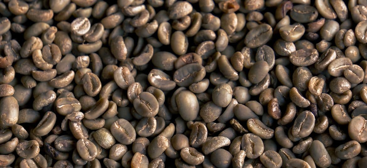 Coffee beans from Balinese plantations drying naturally at Arca Coffee farm