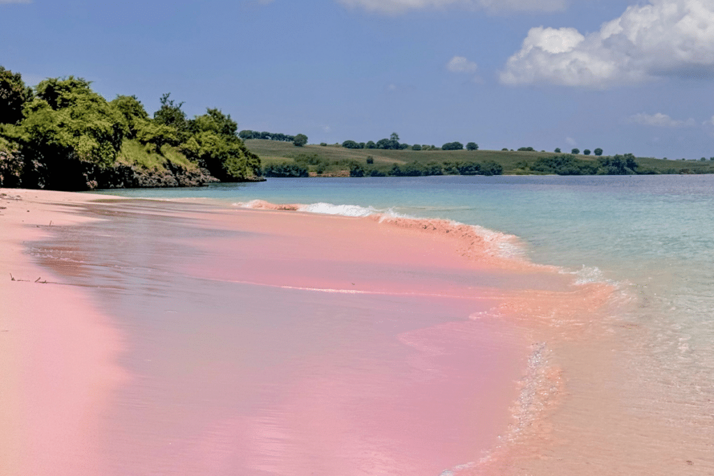 Pink Beach Lombok with pale pink sand and clear shallow water