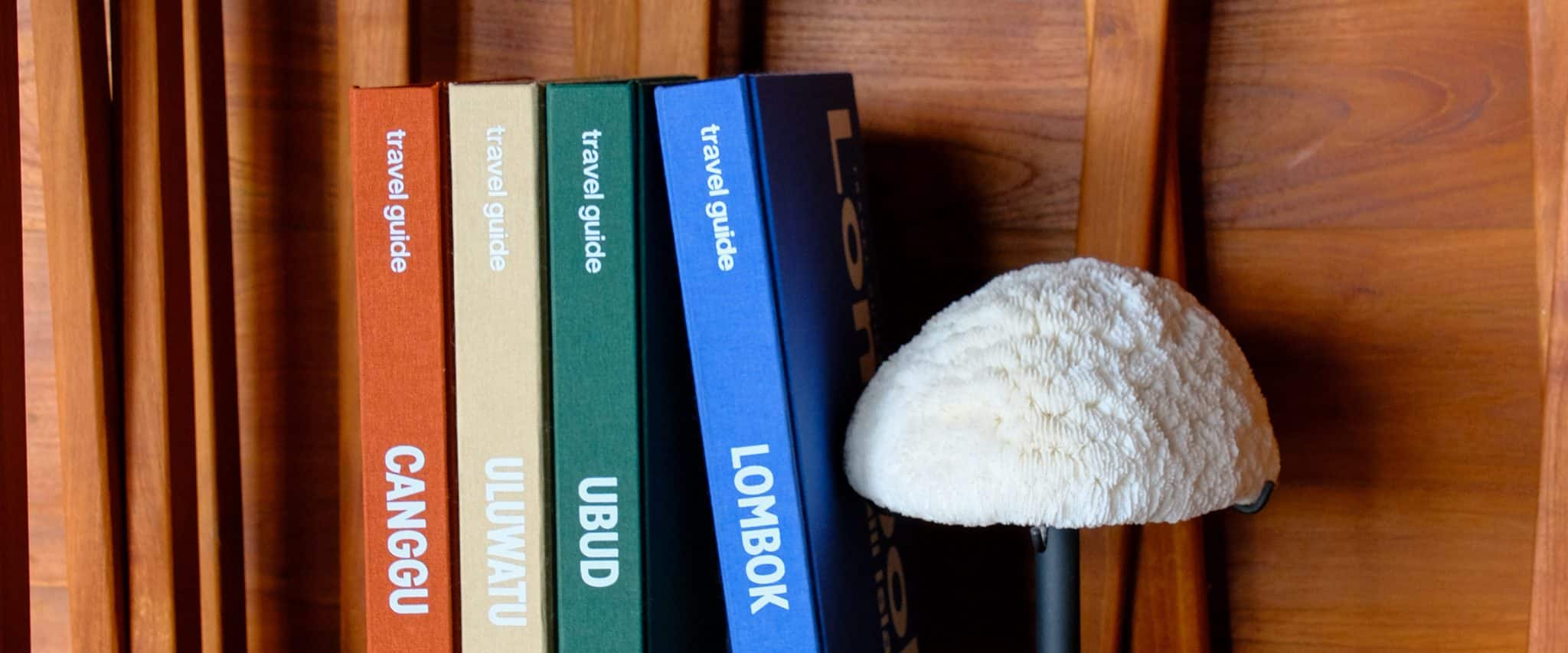 Linen coffee table travel books displayed in a curated library setting