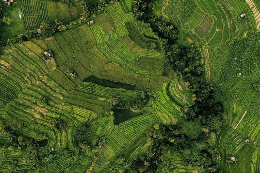Rice terraces in Sidemen valley Bali aerial landscape
