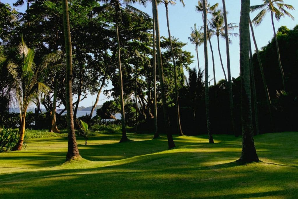 Amankila Bali garden with palm trees and tropical landscape