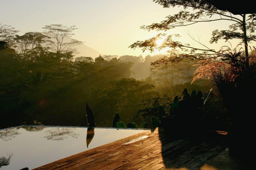 Morning jungle view from Rumah Subak North Ubud surrounded by rice fields