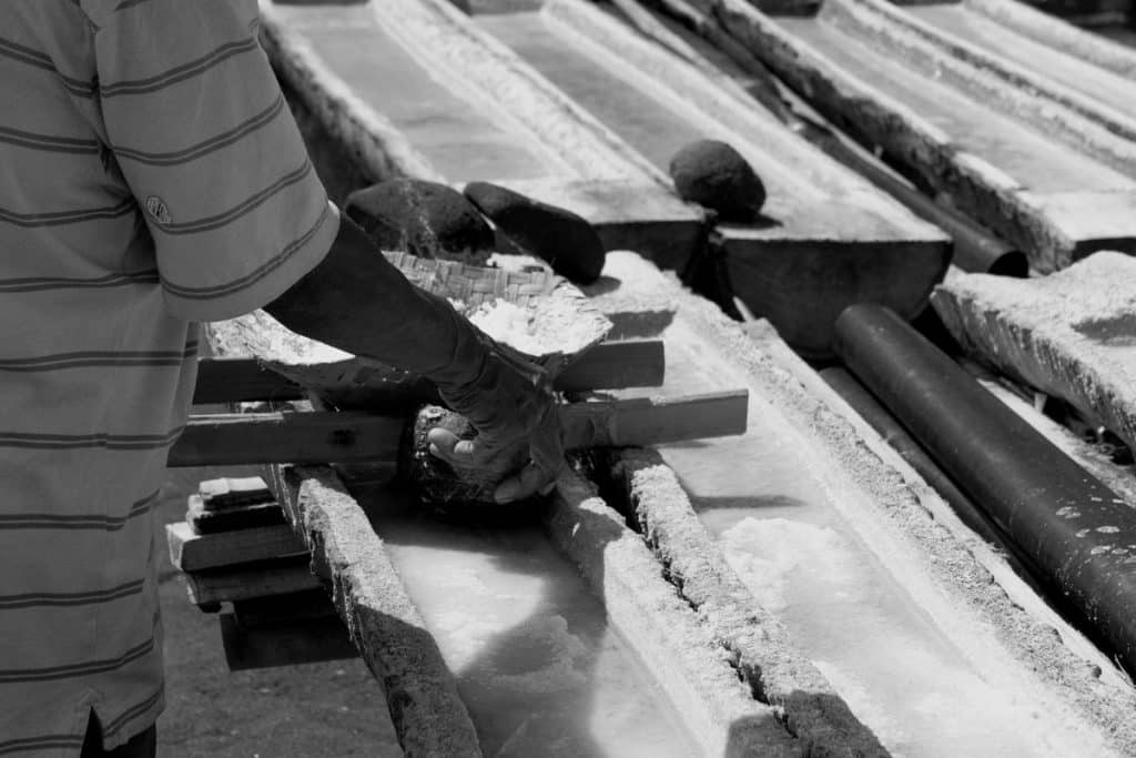 Fresh sea salt drying under the sun in Bali