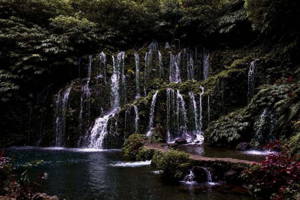 Banyuwana Amertha Waterfall surrounded by lush jungle near Bedugul, Bali