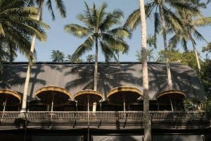 Palm-lined swimming pool surrounded by lush rainforest at Capella Ubud, Bali.