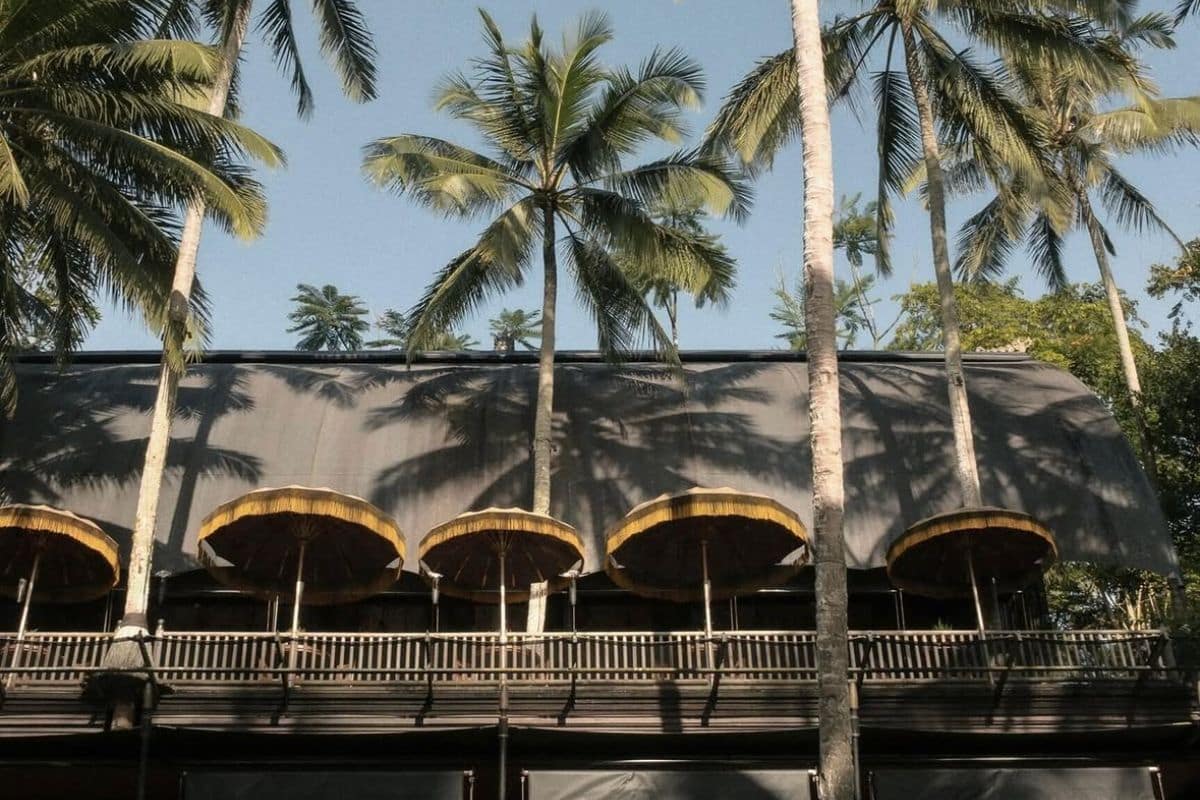 Palm-lined swimming pool surrounded by lush rainforest at Capella Ubud, Bali.