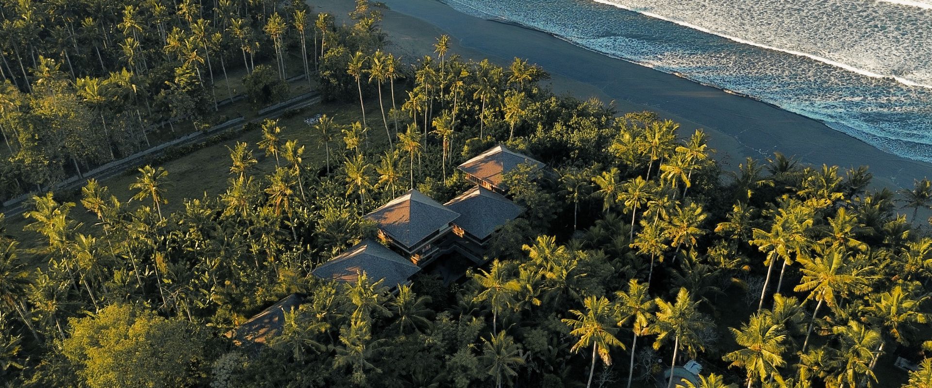 Aerial view of Lost Lindenberg Bali surrounded by palm trees and the Indian Ocean.