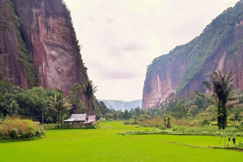 Green valley surrounded by dramatic cliffs and tropical vegetation in West Sumatra.