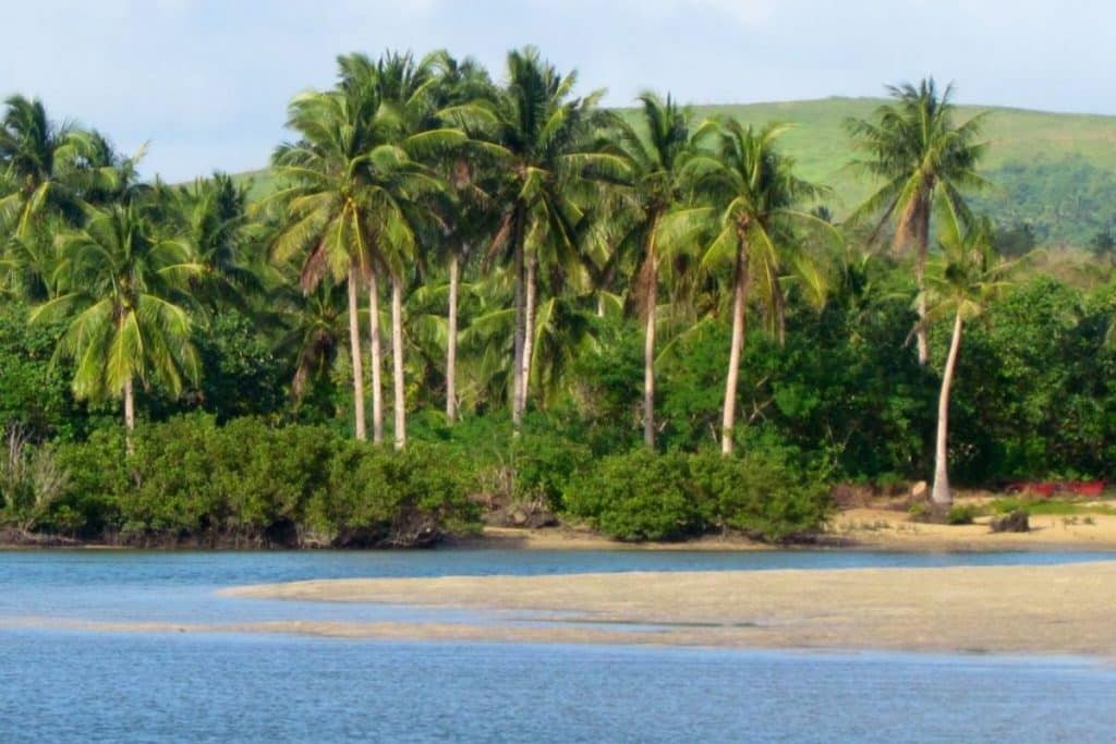 Tropical coastline and clear waters around Sipora Island in the Mentawai Islands.