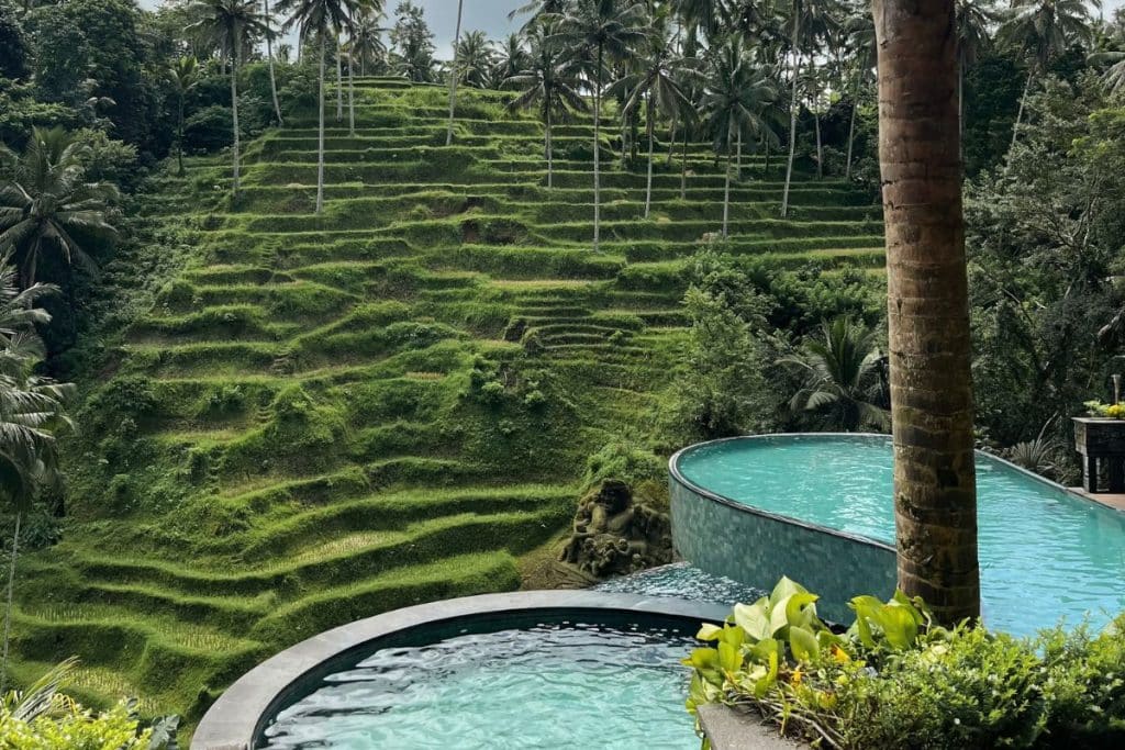 Cretya Ubud overlooking the Tegallalang rice terraces