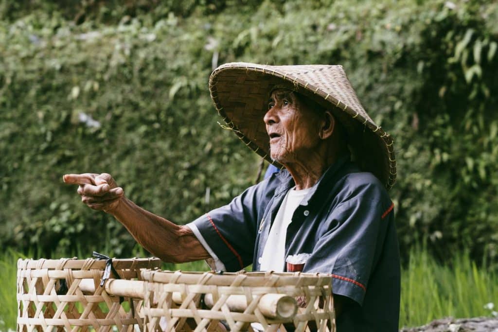 Local farmer working in the Tegallalang rice fields