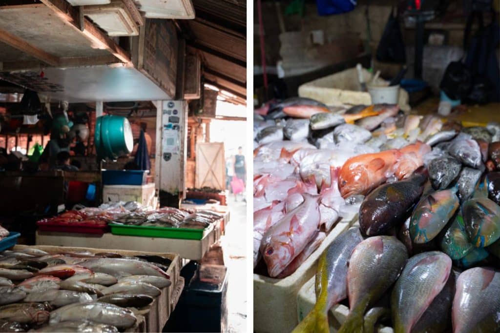 Fresh fish displayed at a seafood stall in Jimbaran, Bali