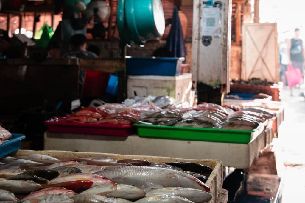 Kedonganan Fish Market in Jimbaran, Bali