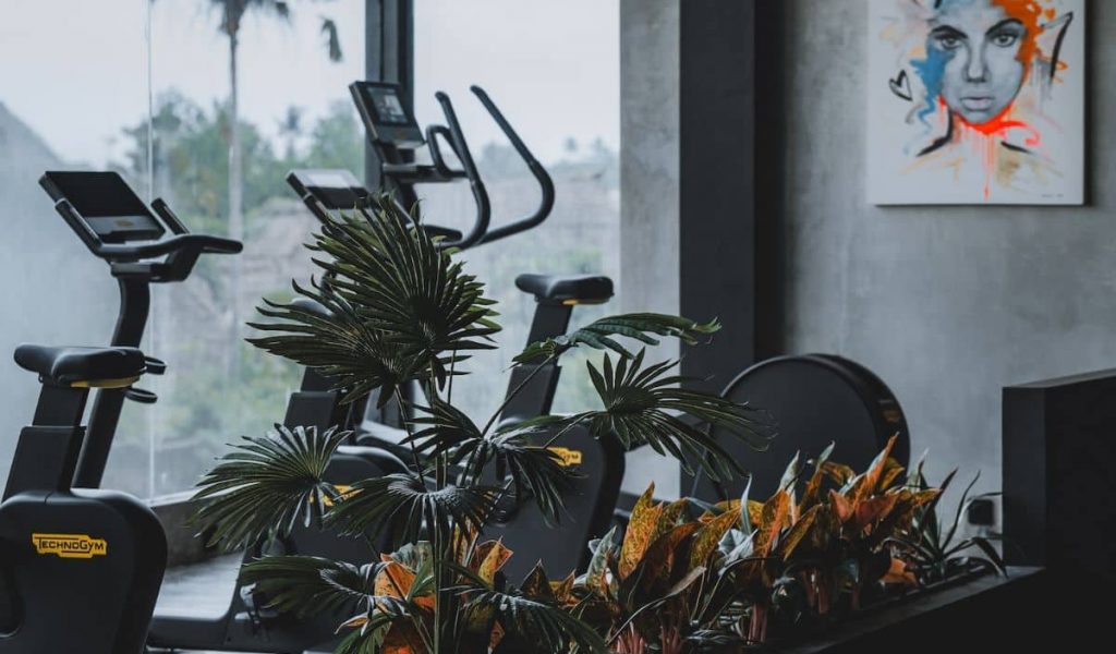 Wrong Gym spacious workout area with weights and cardio machines