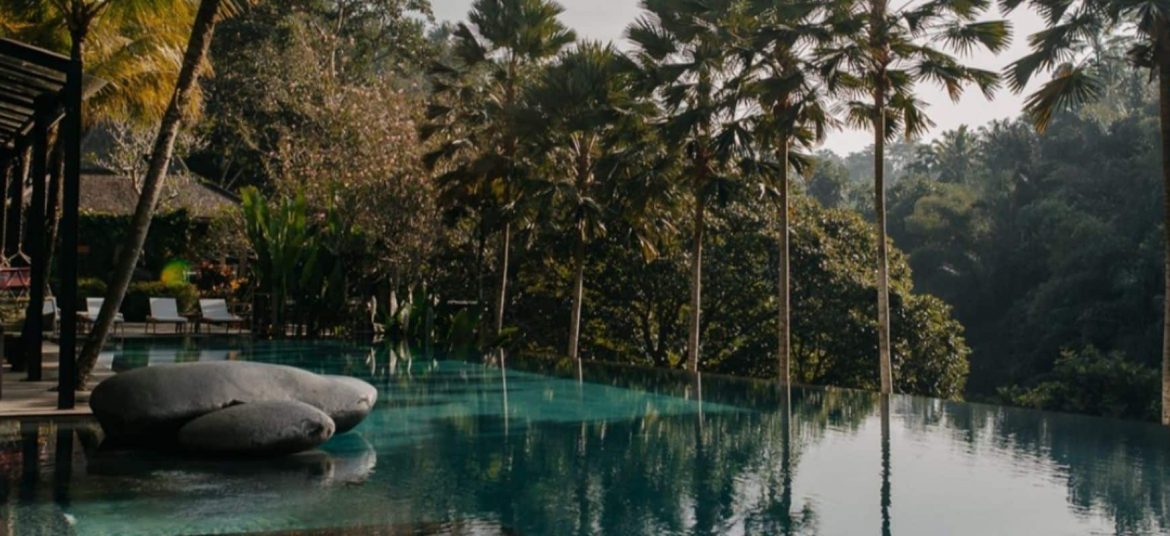 Infinity pool overlooking a lush jungle valley at Jungle Fish Ubud