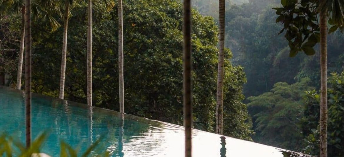 Infinity pool overlooking a lush jungle valley at Jungle Fish Ubud