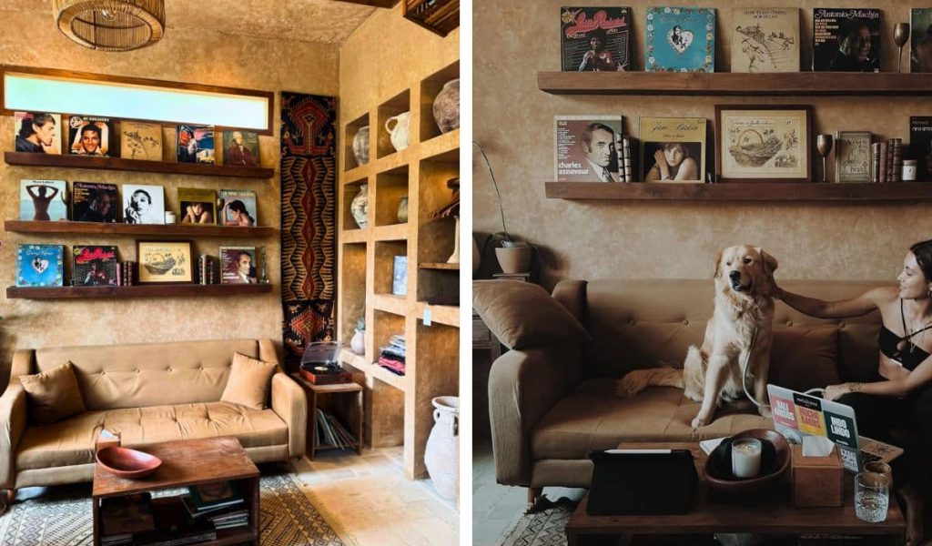 Dog on the sofa area at Fleur café