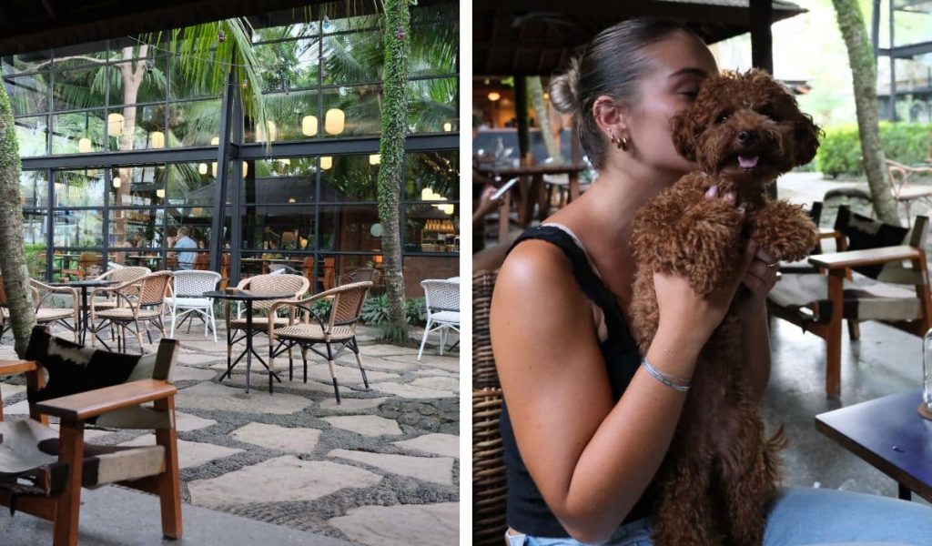 Dog enjoying cuddles at Rüsters in Ubud