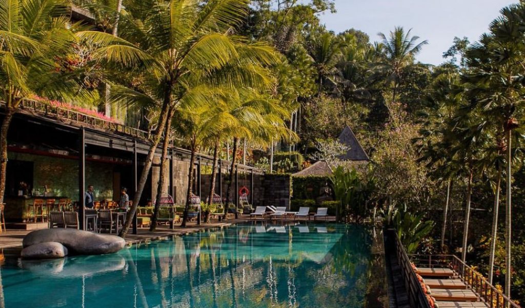 Infinity pool overlooking a lush jungle valley at Jungle Fish Ubud